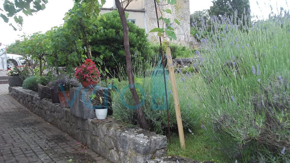 Isola di Krk, Dobrinj, dintorni, casa in pietra ristrutturata con ampio giardino