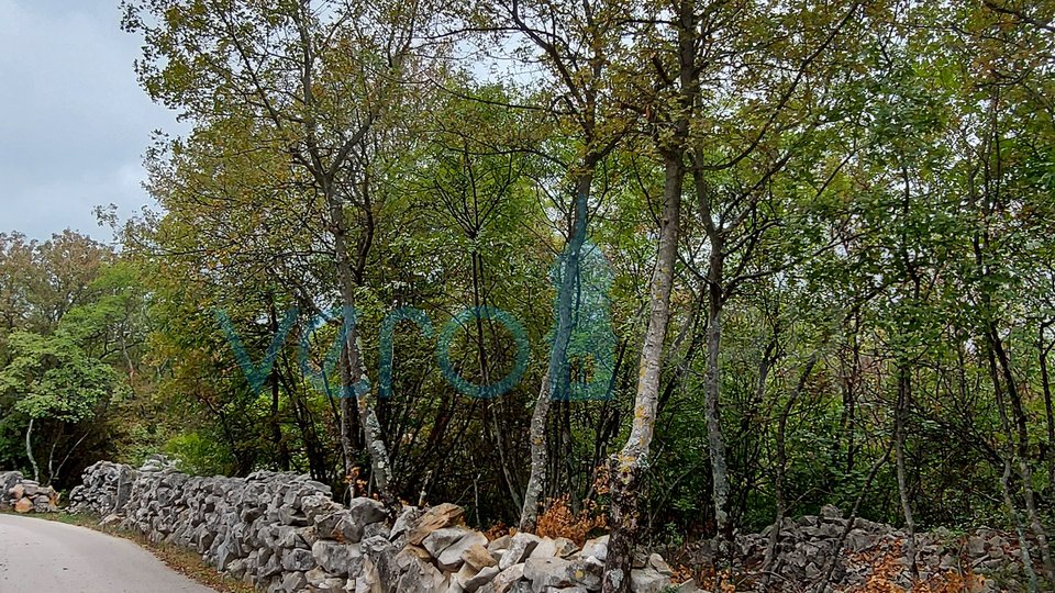 Dobrinj, otok Krk, okolica, građevinsko zemljište 915 m2, prodaja