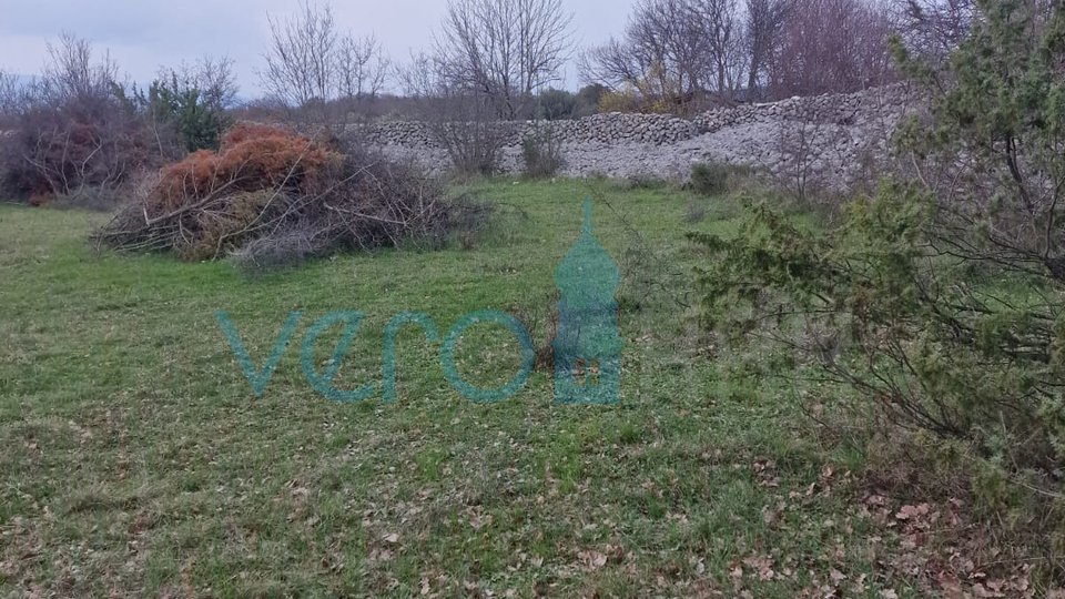Krk surroundings, 2651m2 agricultural land, potential for an olive grove, for sale