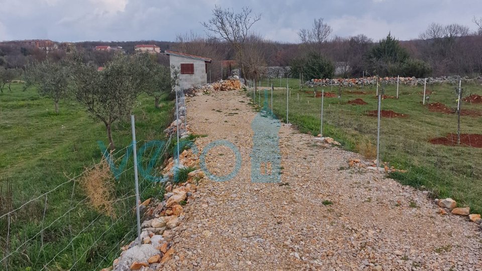 Umgebung von Krk, 2651 m2 landwirtschaftliche Fläche, Potenzial für einen Olivenhain, zu verkaufen