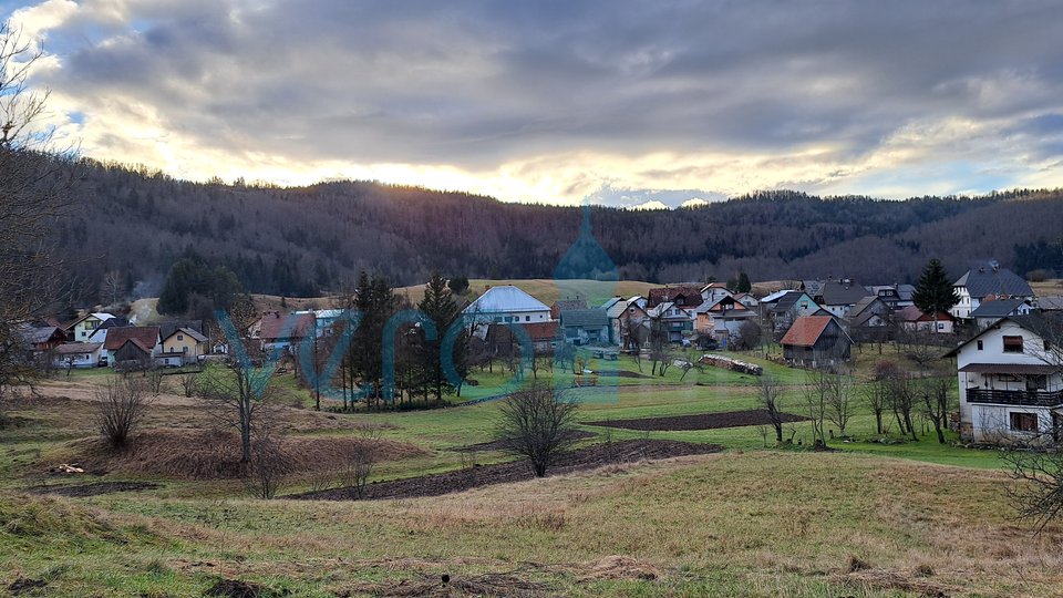 Čabar, Prezid, detached house, large garden, woodshed, for sale