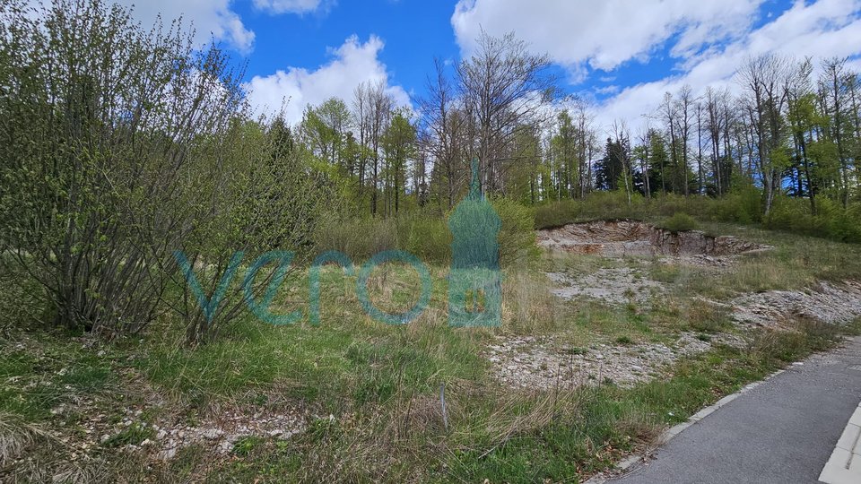 Land, 9131 m2, For Sale, Fužine