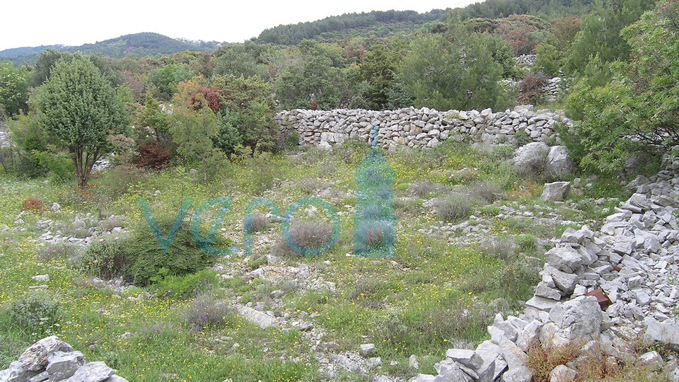 The island of Cres, attractive land 1442m2, 200 to the sea
